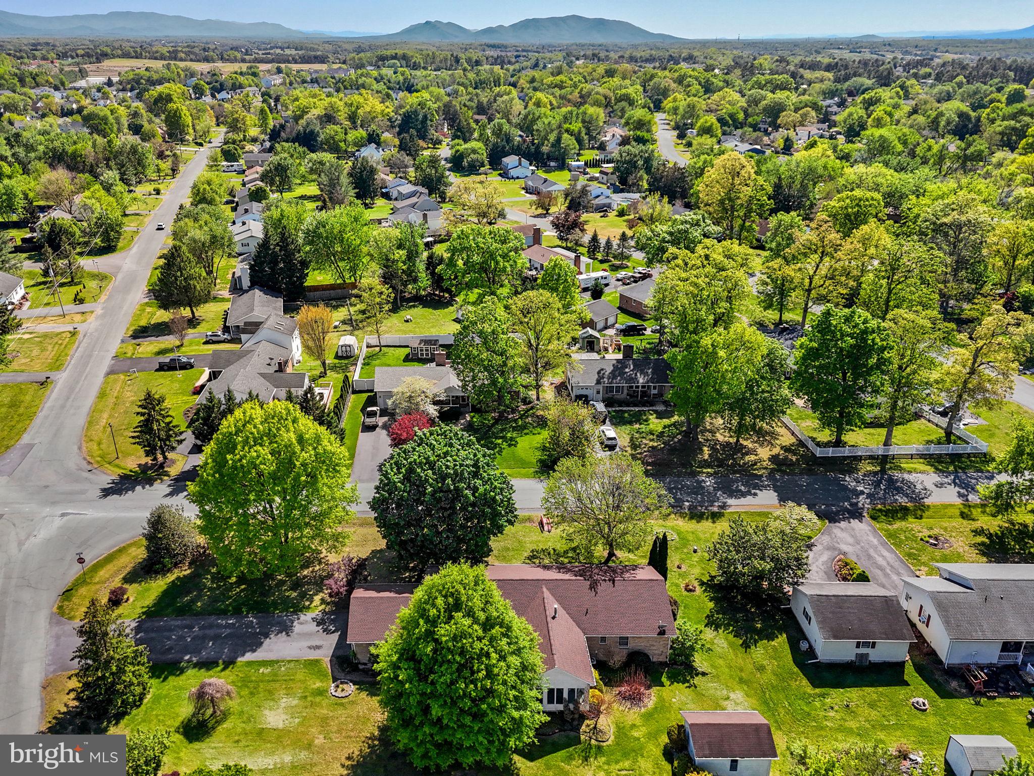109 Rockbridge Road Stephens City, VA 22655 - Photo 50 of 52 Blue Ridge Mountains in the distance