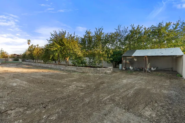 a view of a house with backyard and a tree