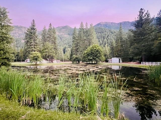 2708 Genesee Road Taylorsville, CA 95983 - Photo 4 of 50