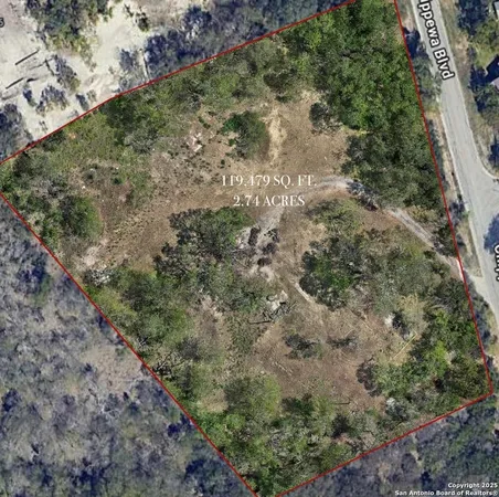 $540,000 | 15063 Chippewa Boulevard, Selma, TX 78154