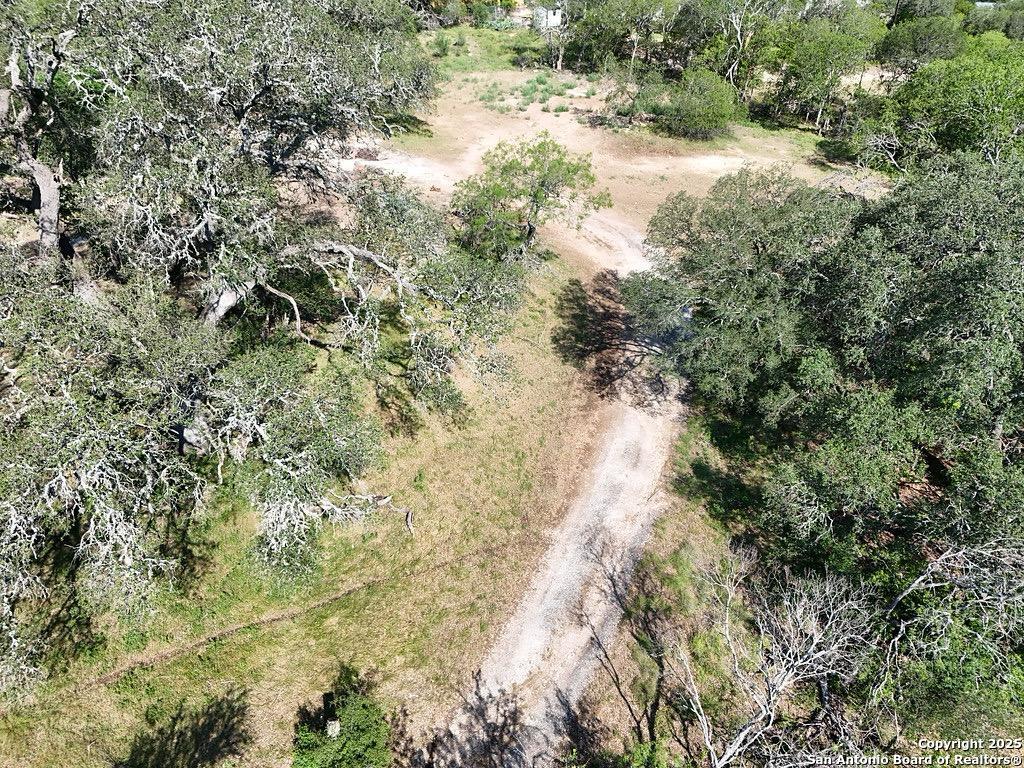 15063 Chippewa Boulevard Selma, TX 78154 - Photo 2 of 8