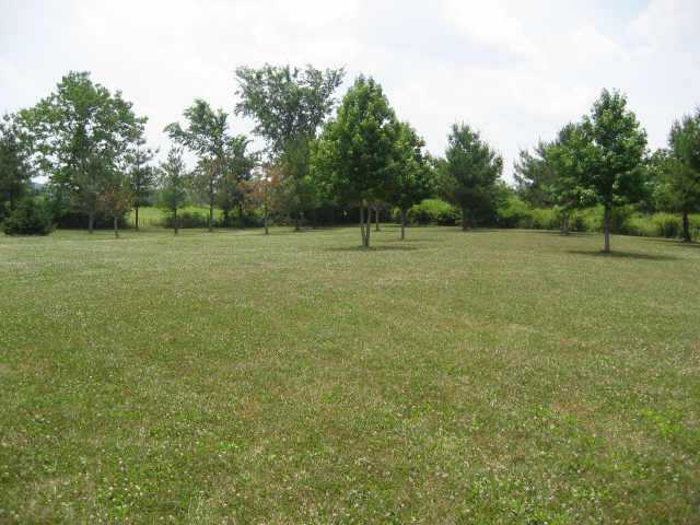 9097 Refugee Road Southwest Pataskala, OH 43062 - Photo 8 of 10