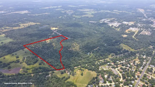 a green field with lots of trees
