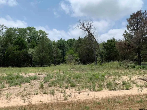 a view of outdoor space and trees