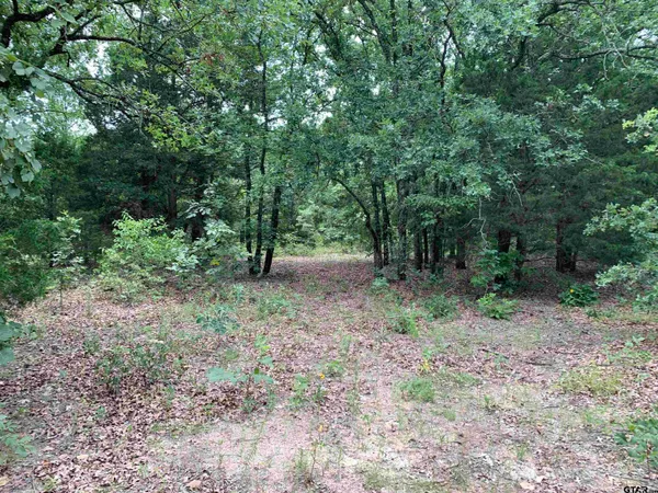 $571,175 | 2494 St Athens Tx 75751, Athens, TX 75751