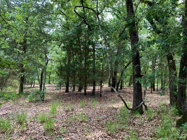 a view of outdoor space and trees all around