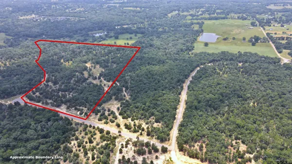 a view of a dry yard with wooden fence