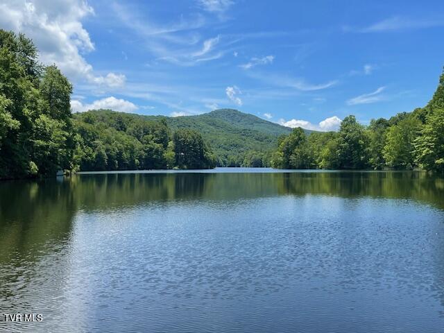 144 Ripshin Lake Road Roan Mountain, TN 37687 - Photo 54 of 54 Stunning
