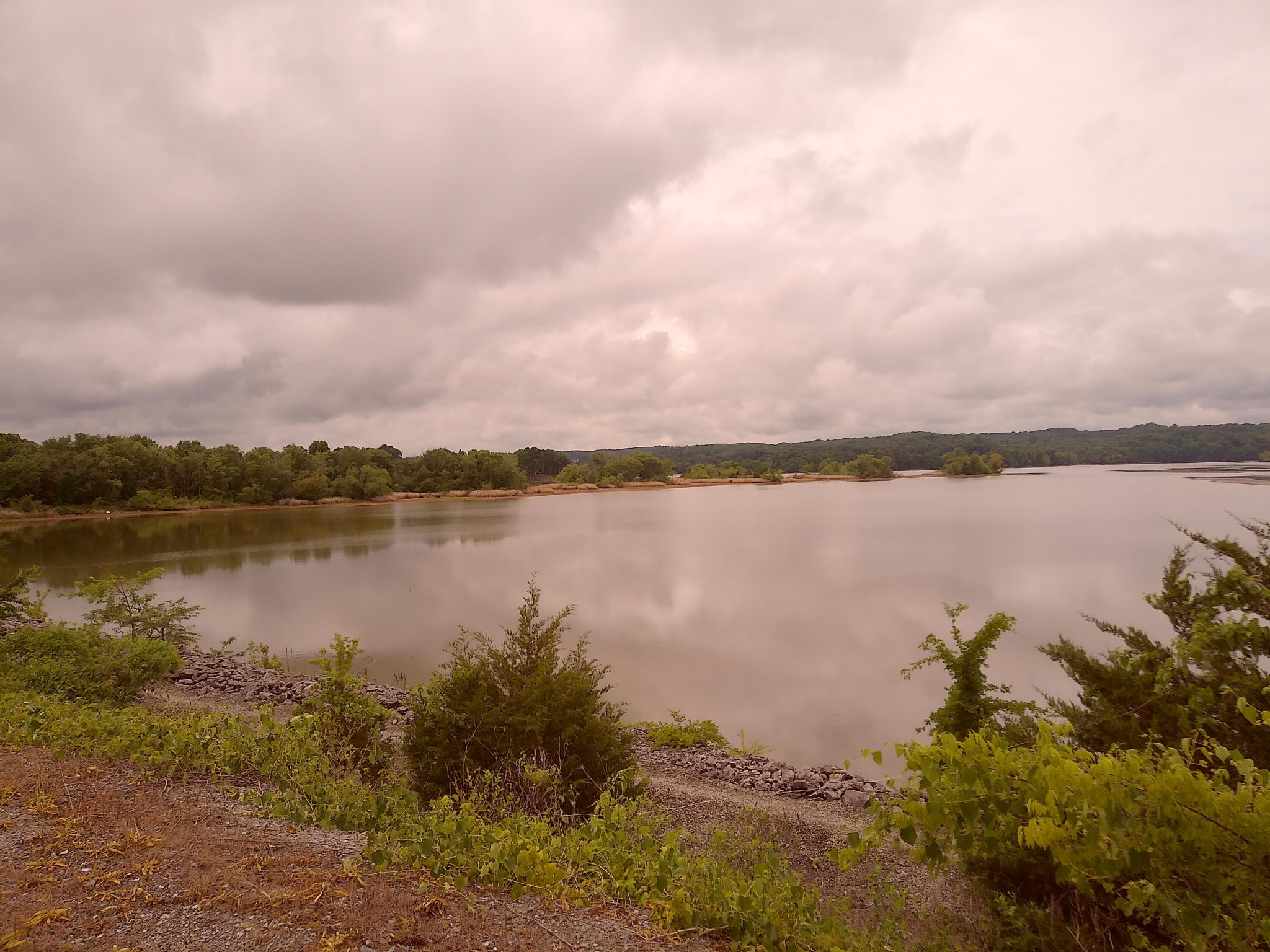 5668 Tennessee 58 Decatur, TN 37322 - Photo 23 of 24 a view of a lake from a yard