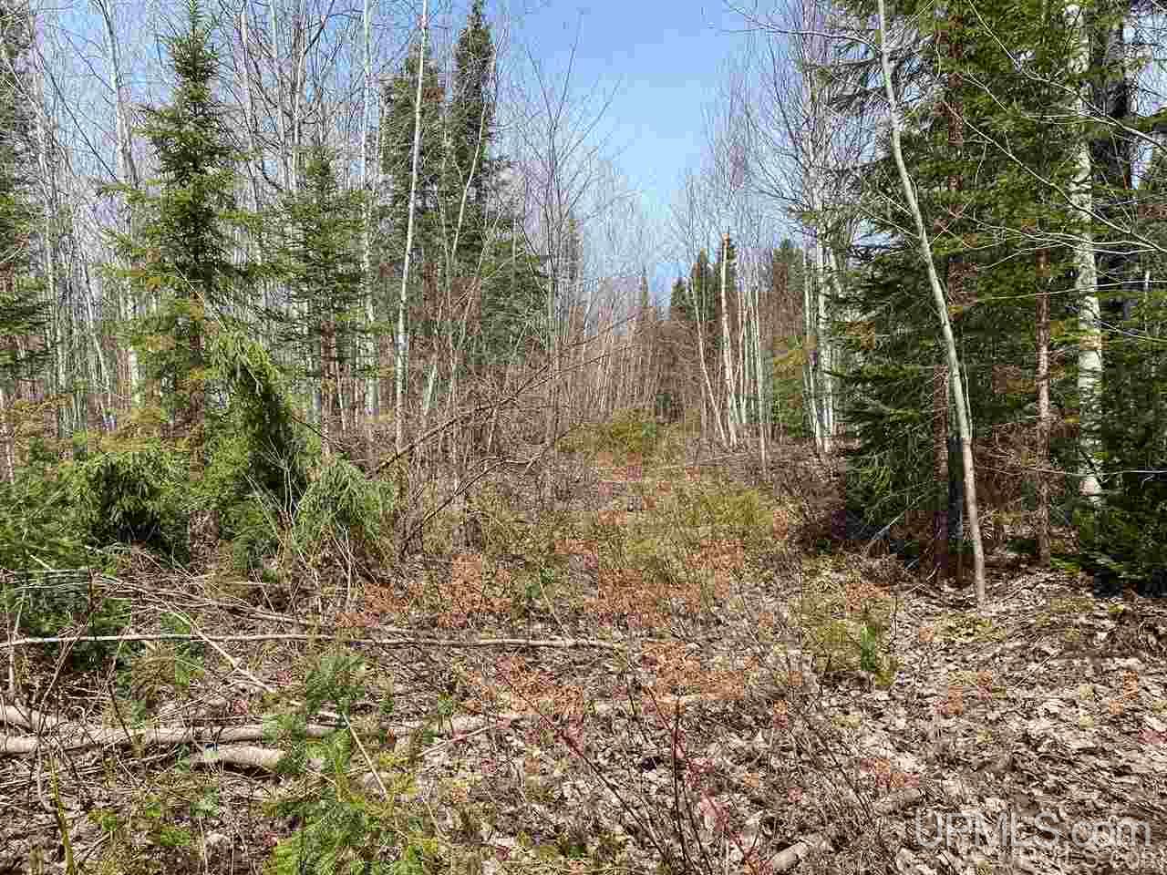 Tbd Mud Lake Road Lake Linden, MI 49945 - Photo 2 of 18