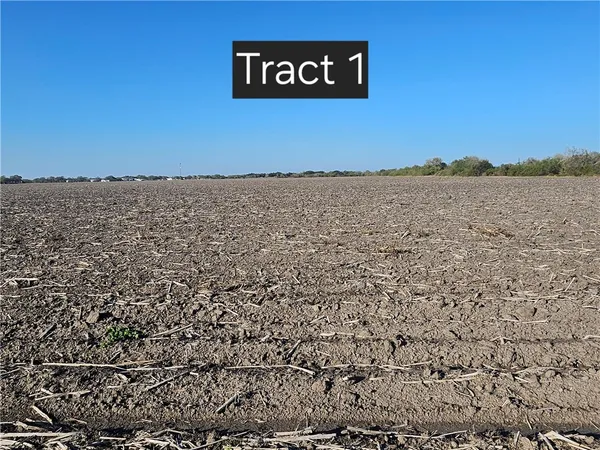 $200,000 | 1 West Escondido Road, Kingsville, TX 78363