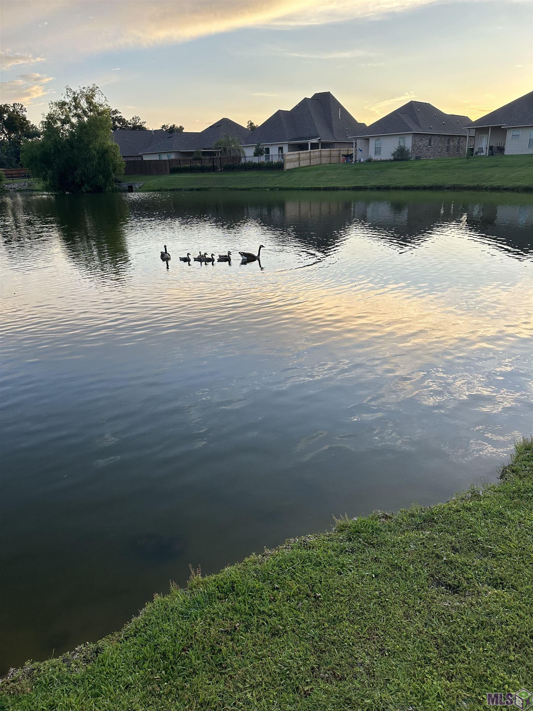 14547 Stone Gate Drive Baton Rouge, LA 70816 - Photo 36 of 38 Gallery Image 36