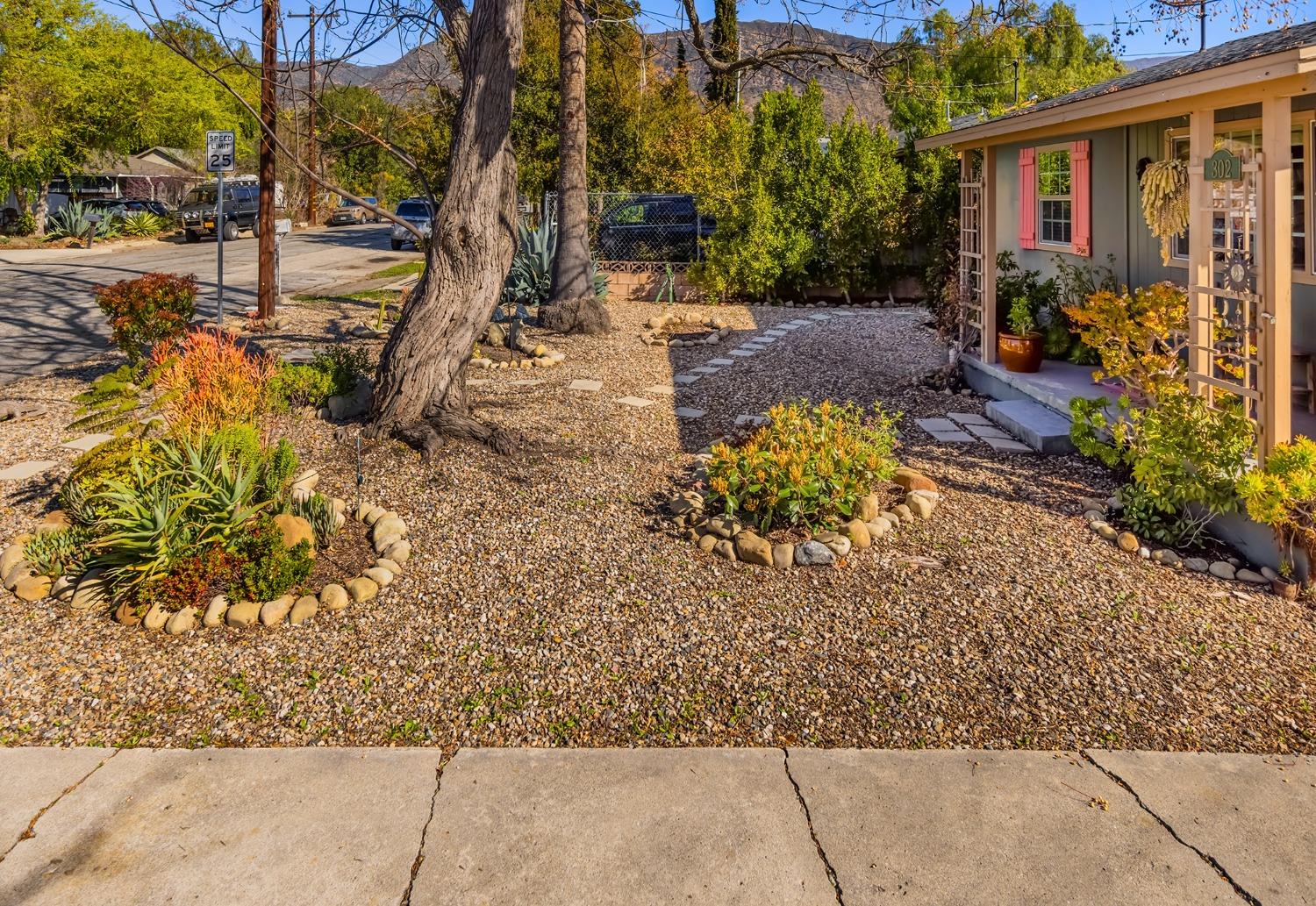 302 Bald Street Ojai, CA 93023 - Photo 26 of 38 a view of a yard with plants