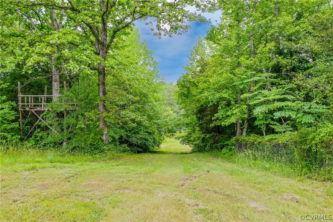 4146 Broad St Road Gum Spring, VA 23065 - Photo 3 of 44
