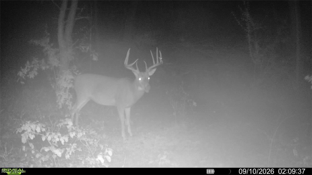 0 Long Hollow Road Pomeroy, OH 45769 - Photo 3 of 33 Gallery Image 3