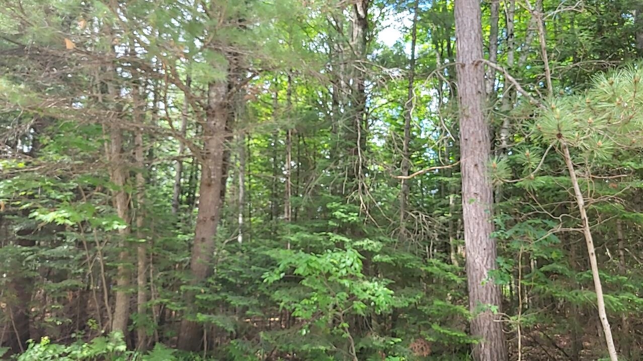West Batterson Road Frederic, MI 49733 - Photo 6 of 6