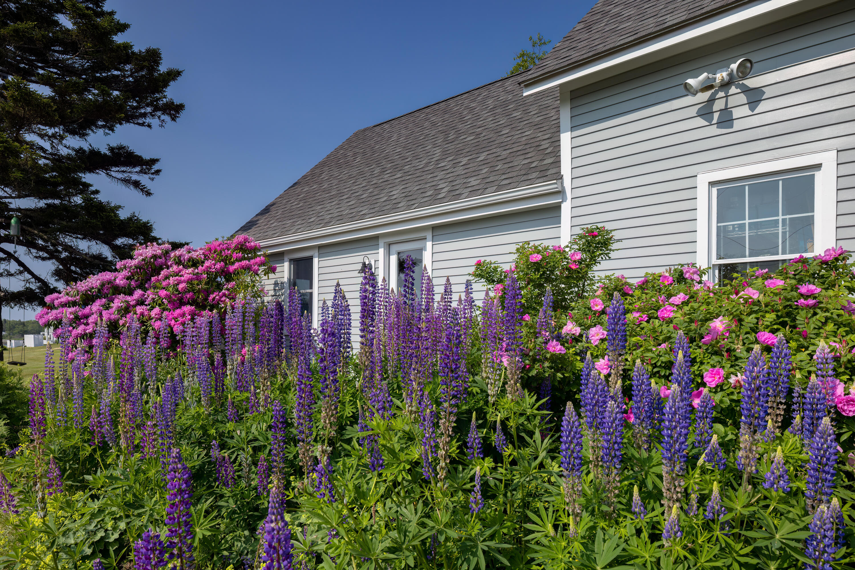 464 Port Clyde Road St. George, ME 04860 - Photo 12 of 108 6J3A6514-Edit-Edit