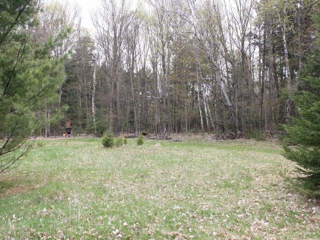 1-2 Everett Road, Unit LOTS Eagle River, WI 54521 - Photo 5 of 20 Gallery Image 5