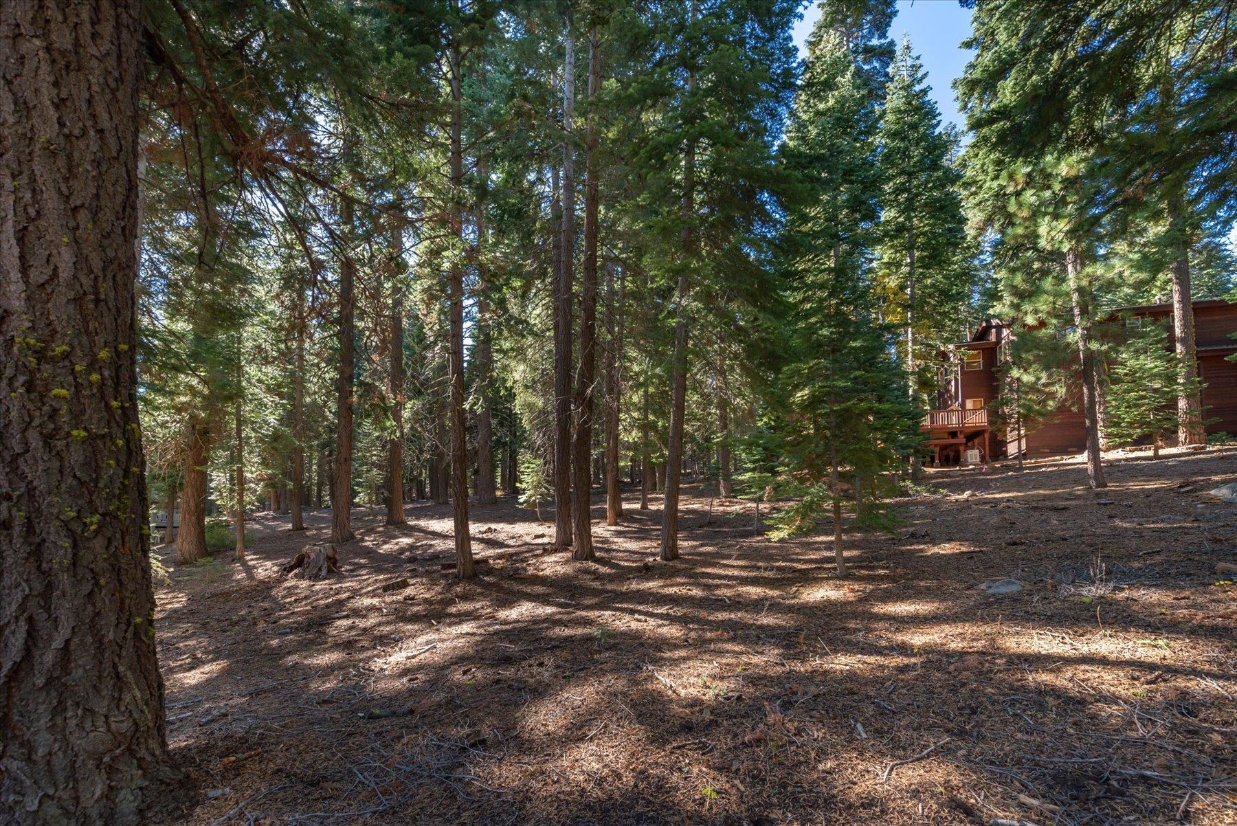 11888 Chamonix Road Truckee, CA 96161 - Photo 9 of 19 Gallery Image 9