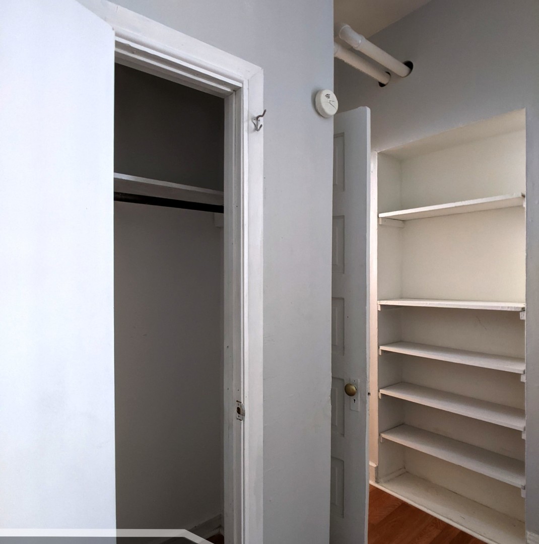 3544 North Halsted Street, Unit 2R Chicago, IL 60657 - Photo 8 of 13 a view of walk in closet with empty racks