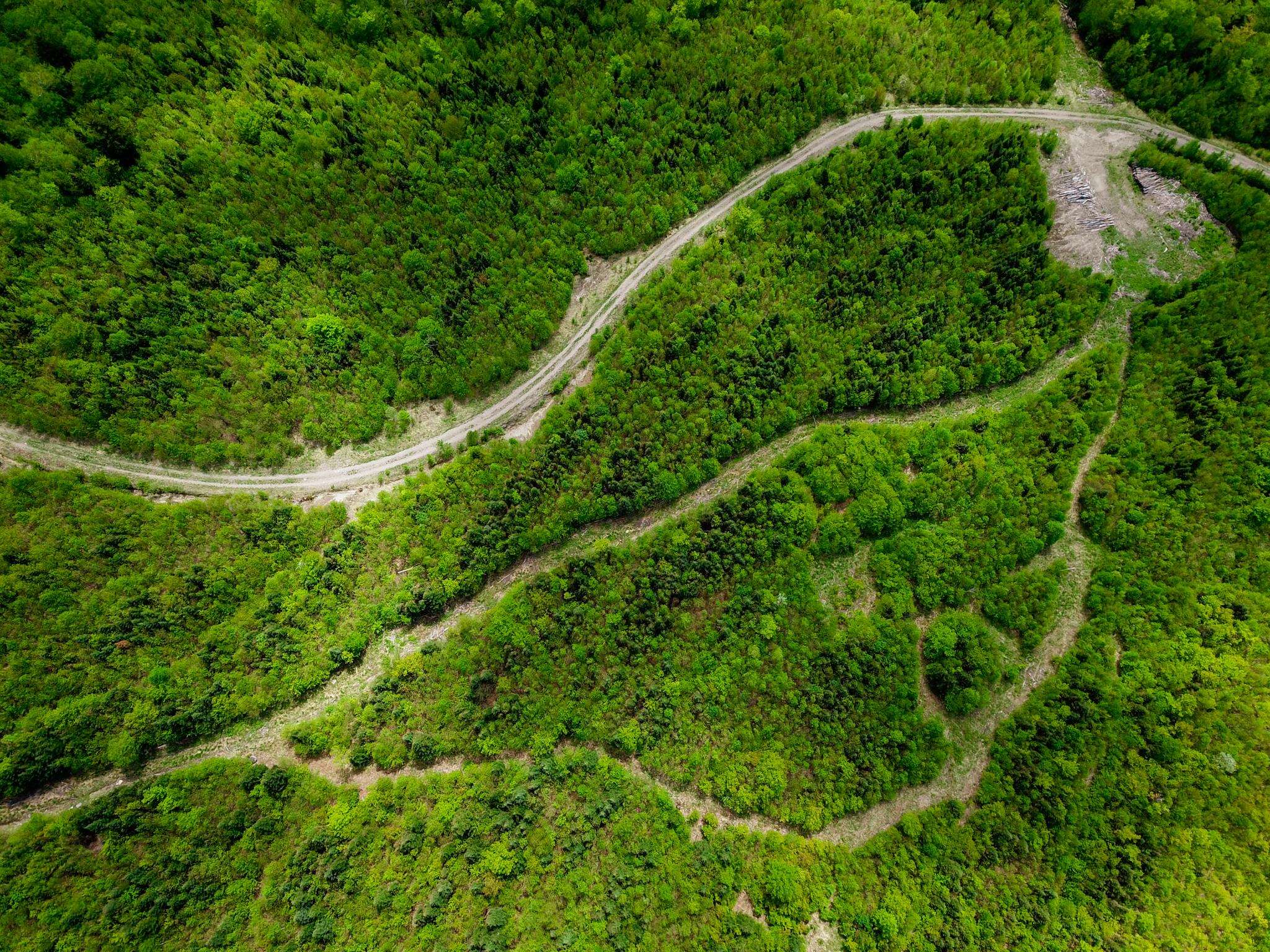 50 Gene Jordan Road North Stratford, NH 03590 - Photo 11 of 40