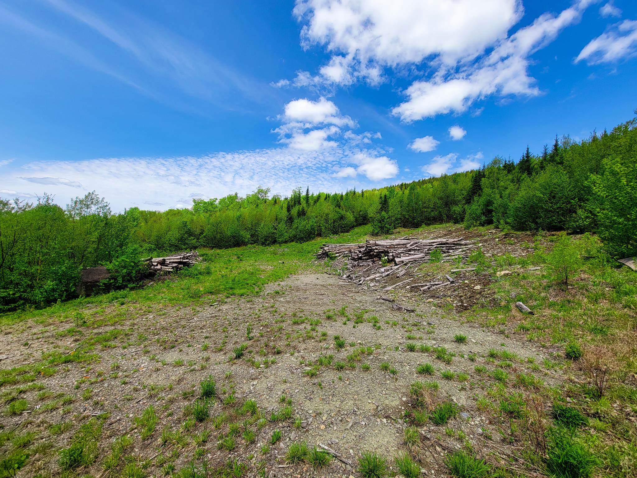 50 Gene Jordan Road North Stratford, NH 03590 - Photo 12 of 40