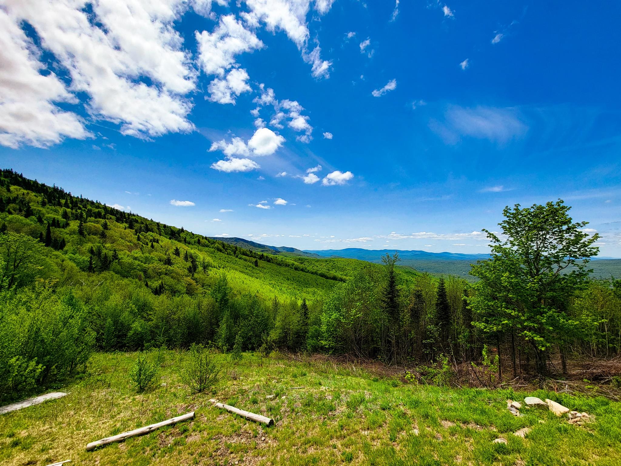 50 Gene Jordan Road North Stratford, NH 03590 - Photo 17 of 40