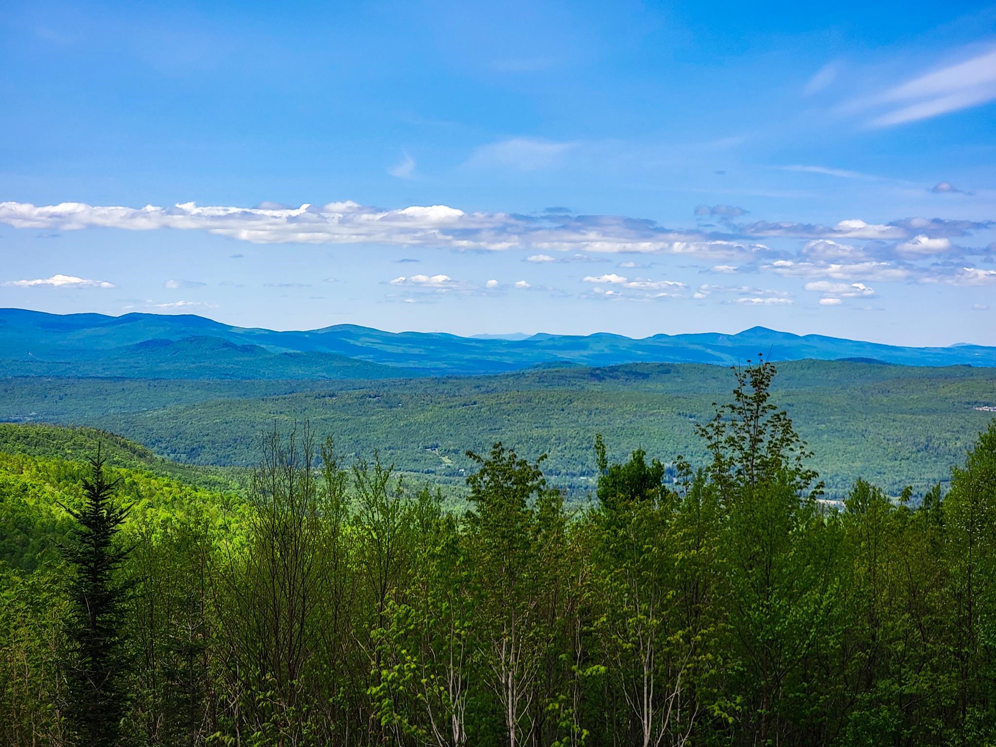 50 Gene Jordan Road North Stratford, NH 03590 - Photo 21 of 40