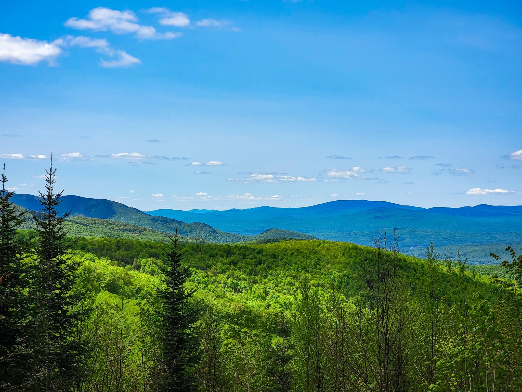 50 Gene Jordan Road North Stratford, NH 03590 - Photo 3 of 40