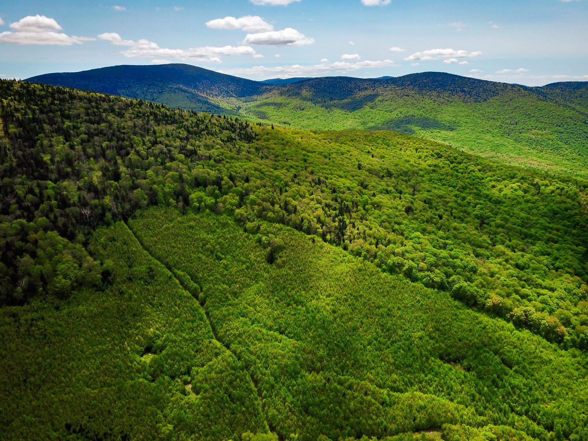 50 Gene Jordan Road North Stratford, NH 03590 - Photo 36 of 40