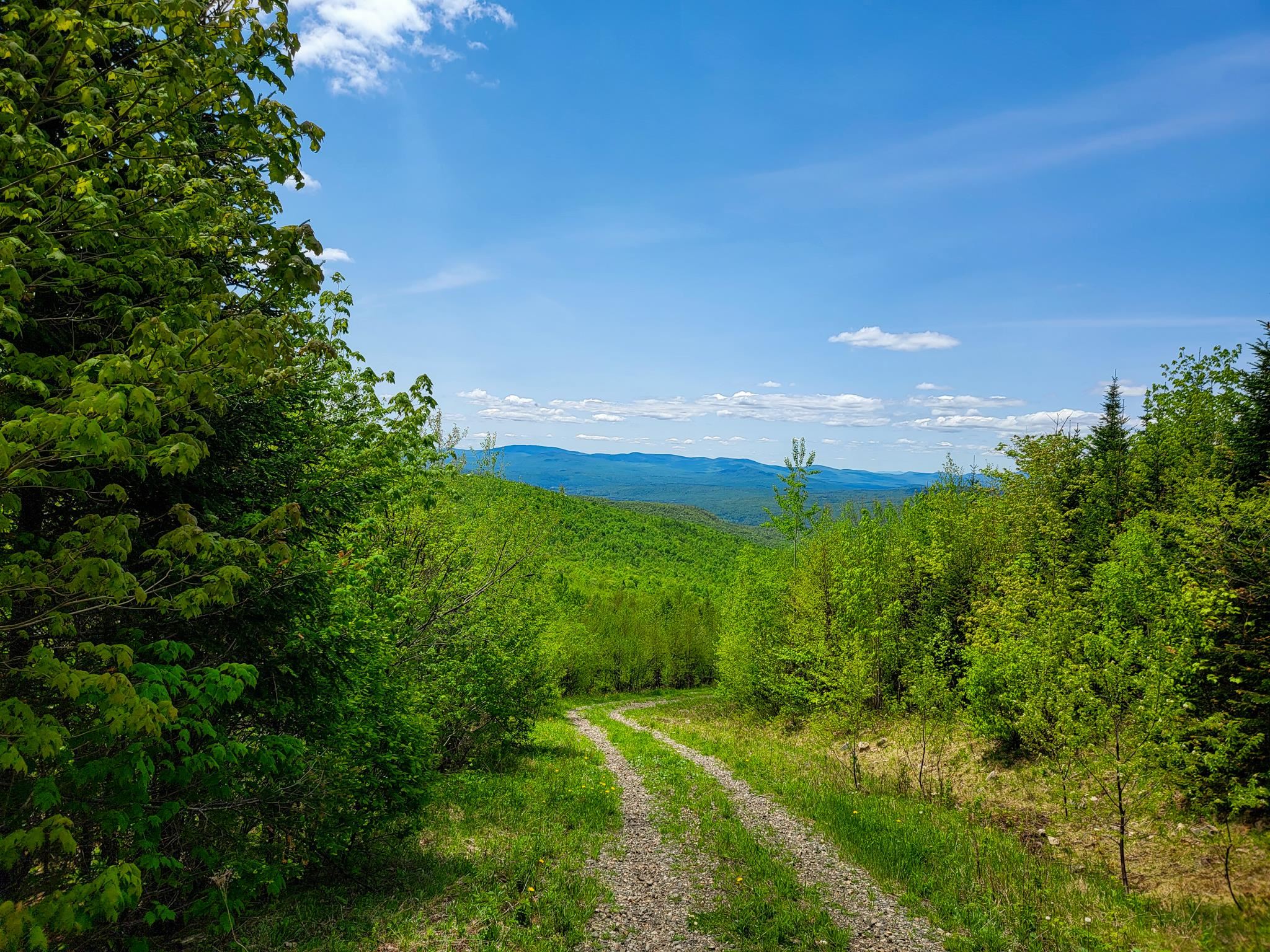 50 Gene Jordan Road North Stratford, NH 03590 - Photo 39 of 40