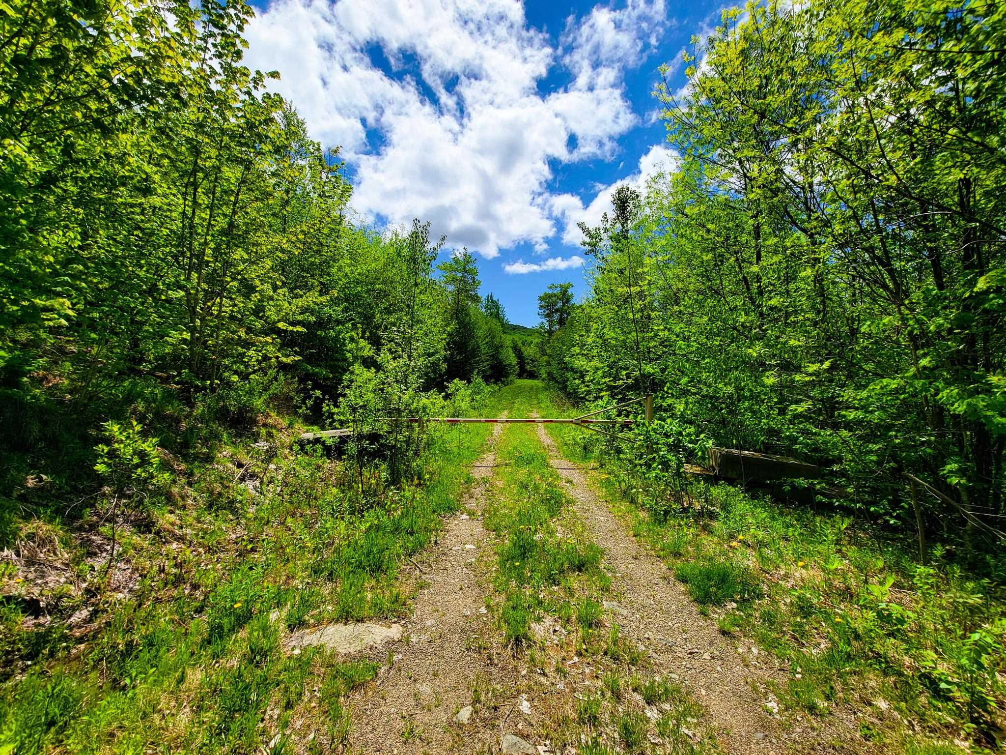 50 Gene Jordan Road North Stratford, NH 03590 - Photo 8 of 40