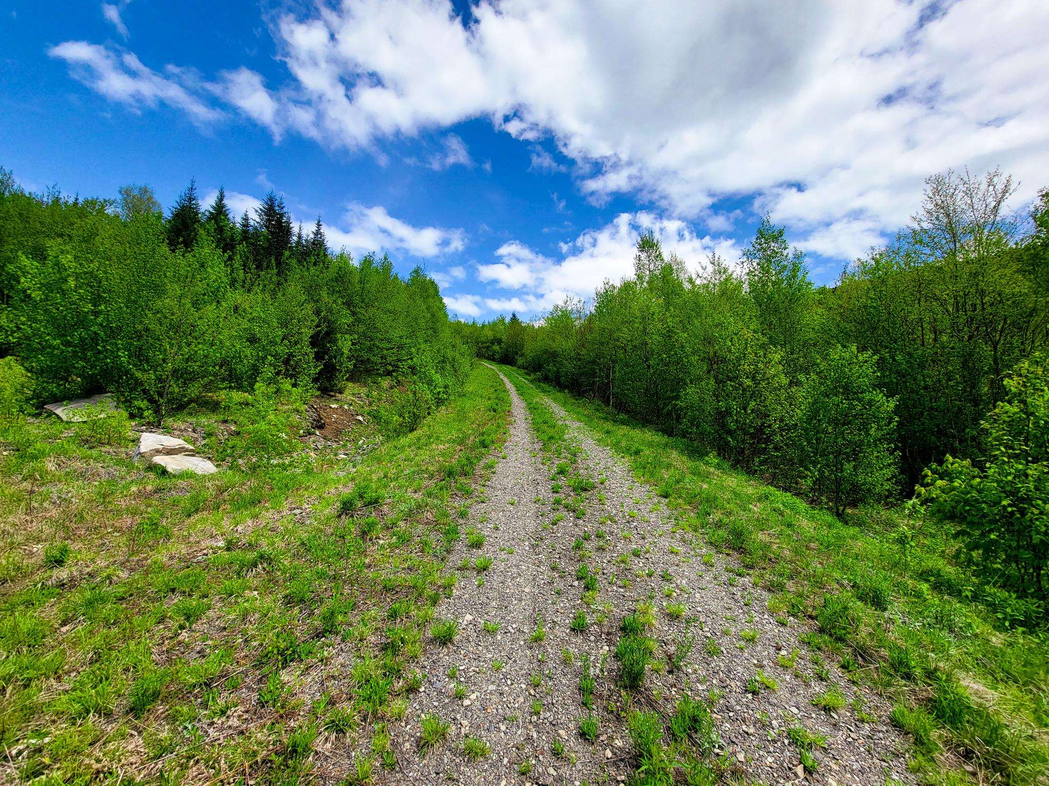50 Gene Jordan Road North Stratford, NH 03590 - Photo 10 of 40