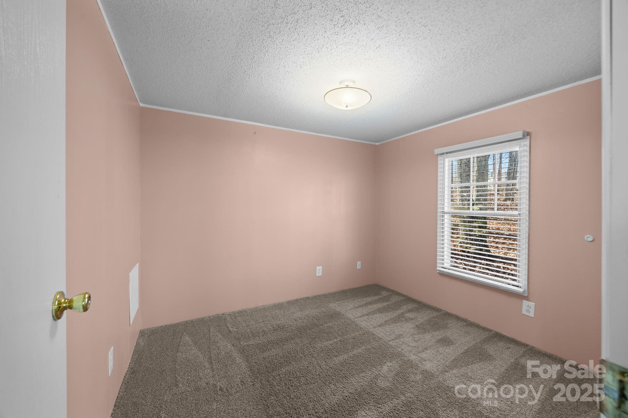 5043 Pebble Stone Road Maiden, NC 28650 - Photo 42 of 46 an empty room with windows