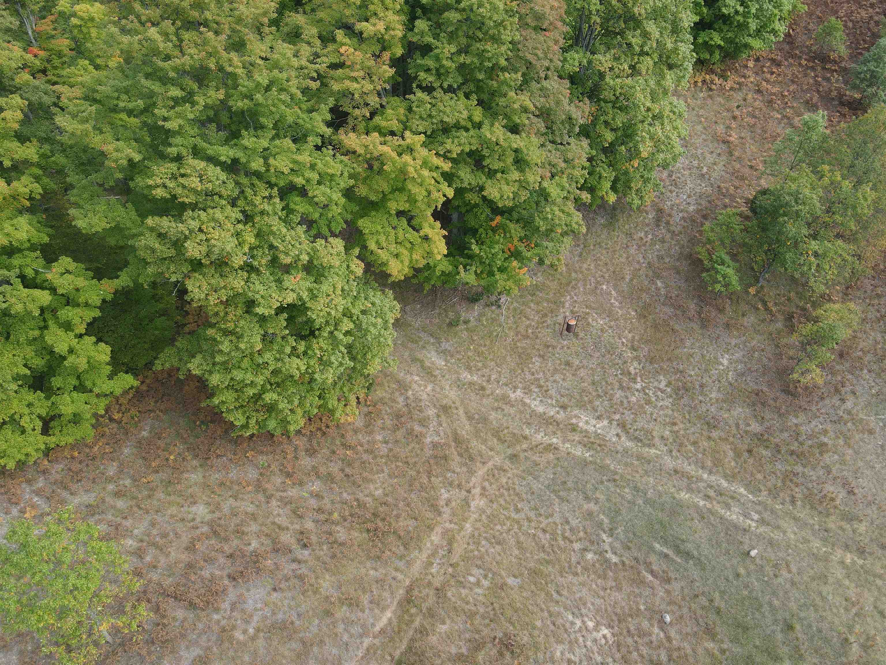 90 A Ridgeview Drive Kalkaska, MI 49646 - Photo 11 of 75