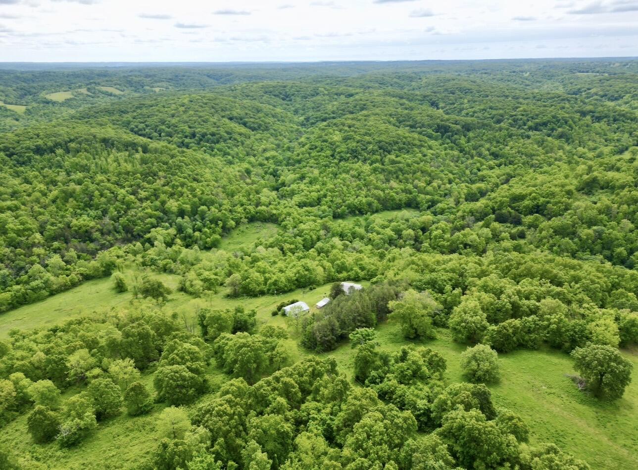 795 Anthony Road Pineville, MO 64856 - Photo 88 of 95 Spring