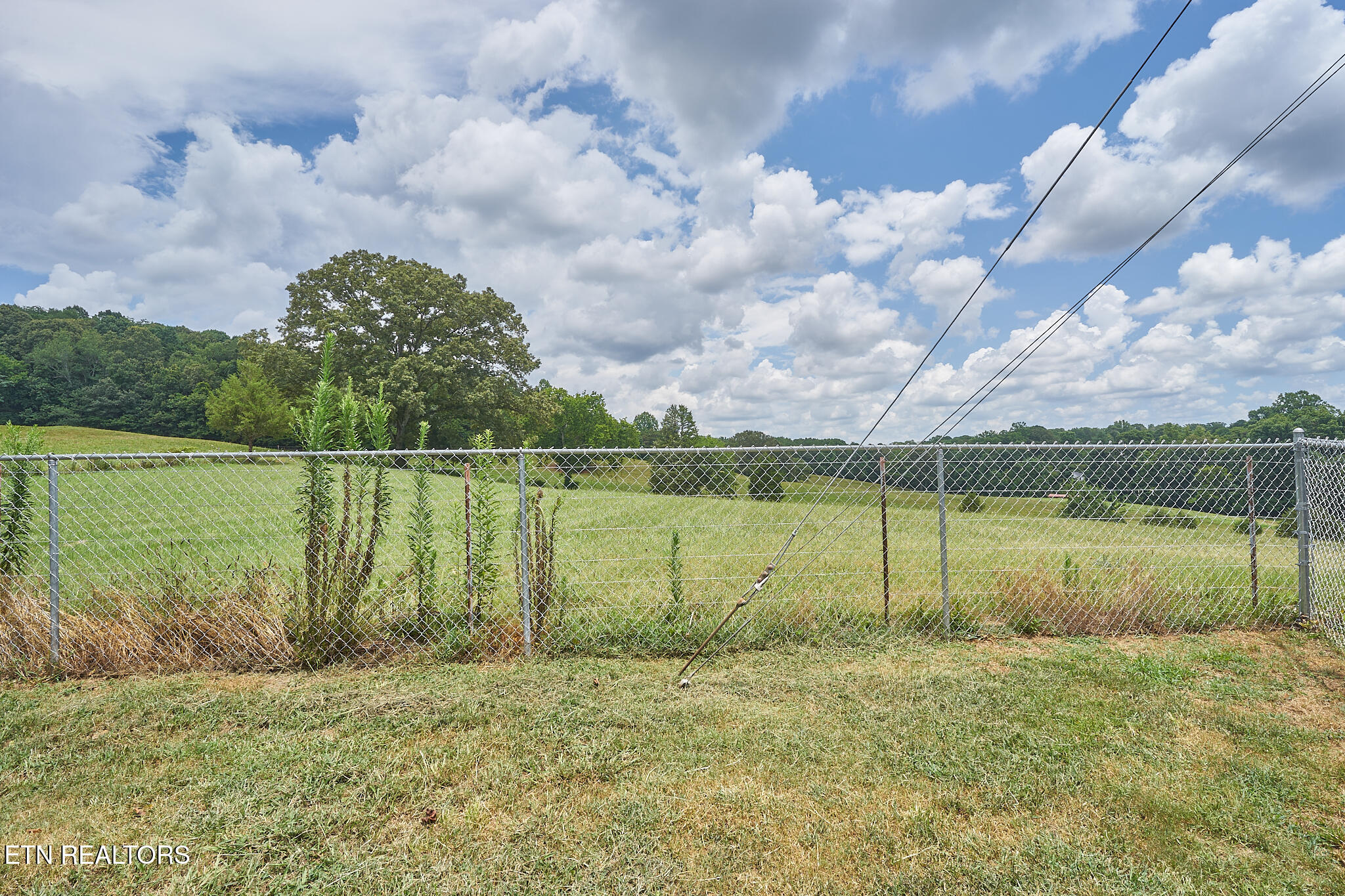 4240 Miser Station Road Louisville, TN 37777 - Photo 31 of 43 DSC08067.1