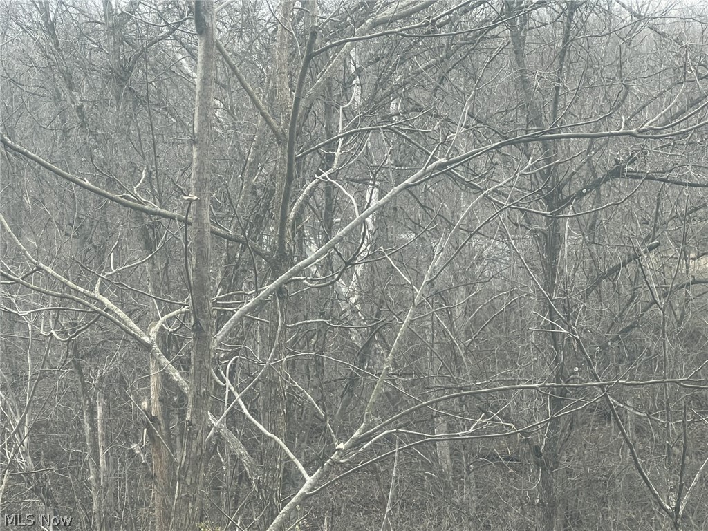 231 Big Oak Road Malta, OH 43758 - Photo 5 of 6 View of local wilderness