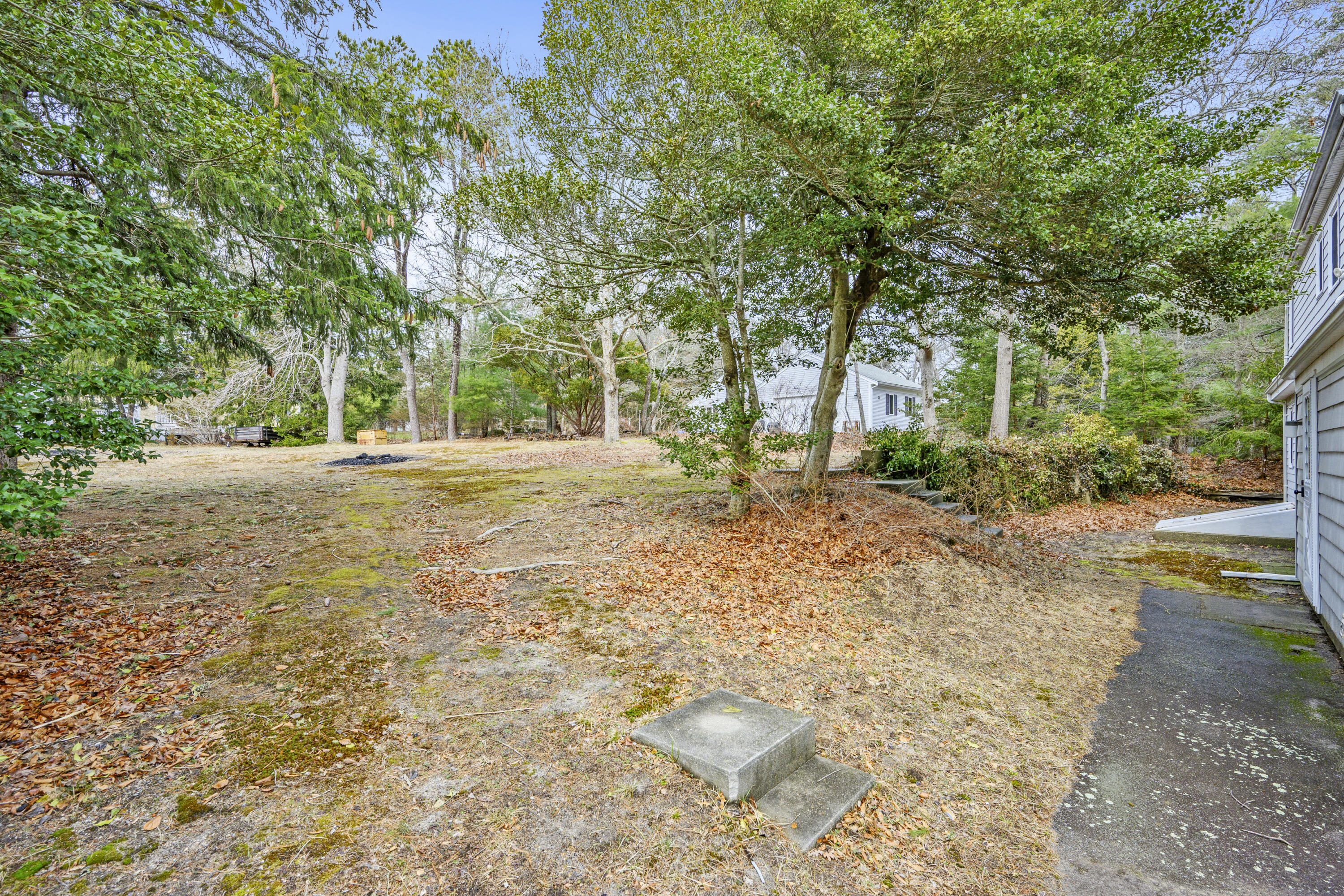 33 Head Of The Bay Road Buzzards Bay, MA 02532 - Photo 32 of 46 a view of a yard with plants and trees