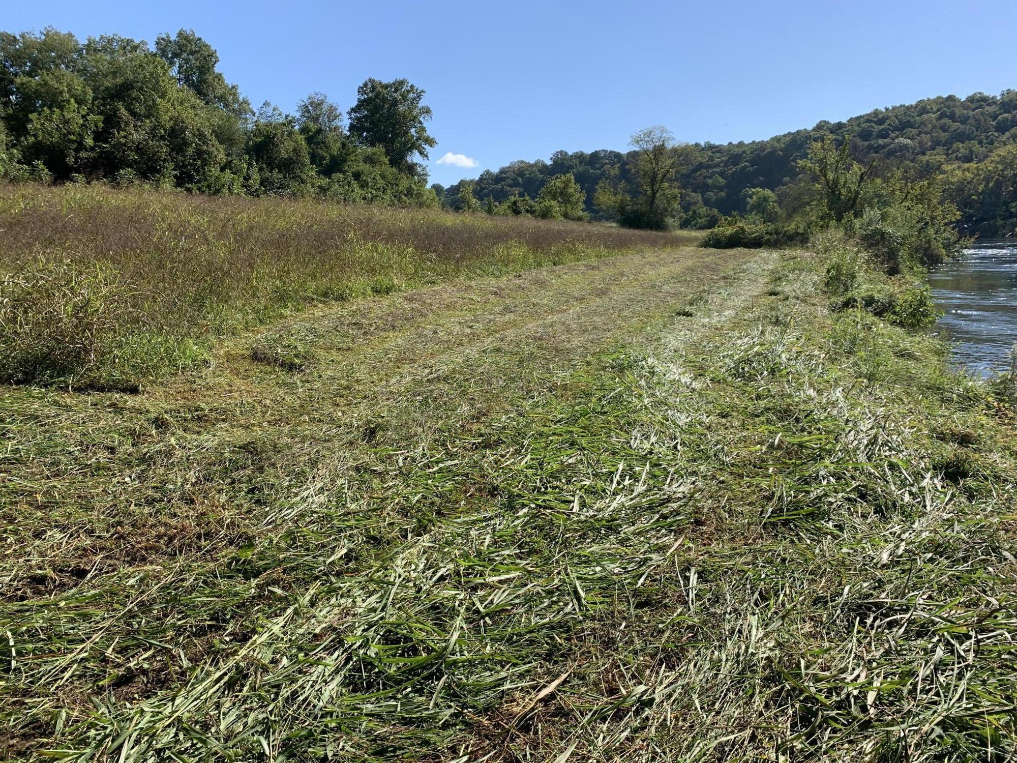 Offutt Road Clinton, TN 37716 - Photo 2 of 4 IMG_1830