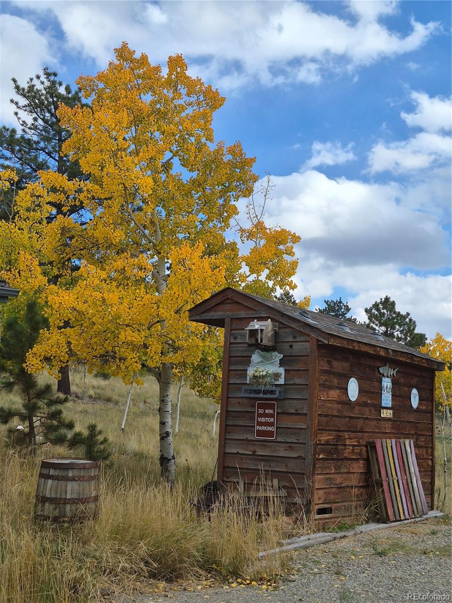 388 Clark Road Bailey, CO 80421 - Photo 38 of 50 a view of a house with a yard