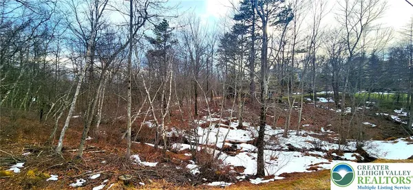 a view of forest