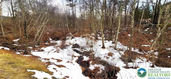 $10,000 | Clover Road, Long Pond, PA 18334