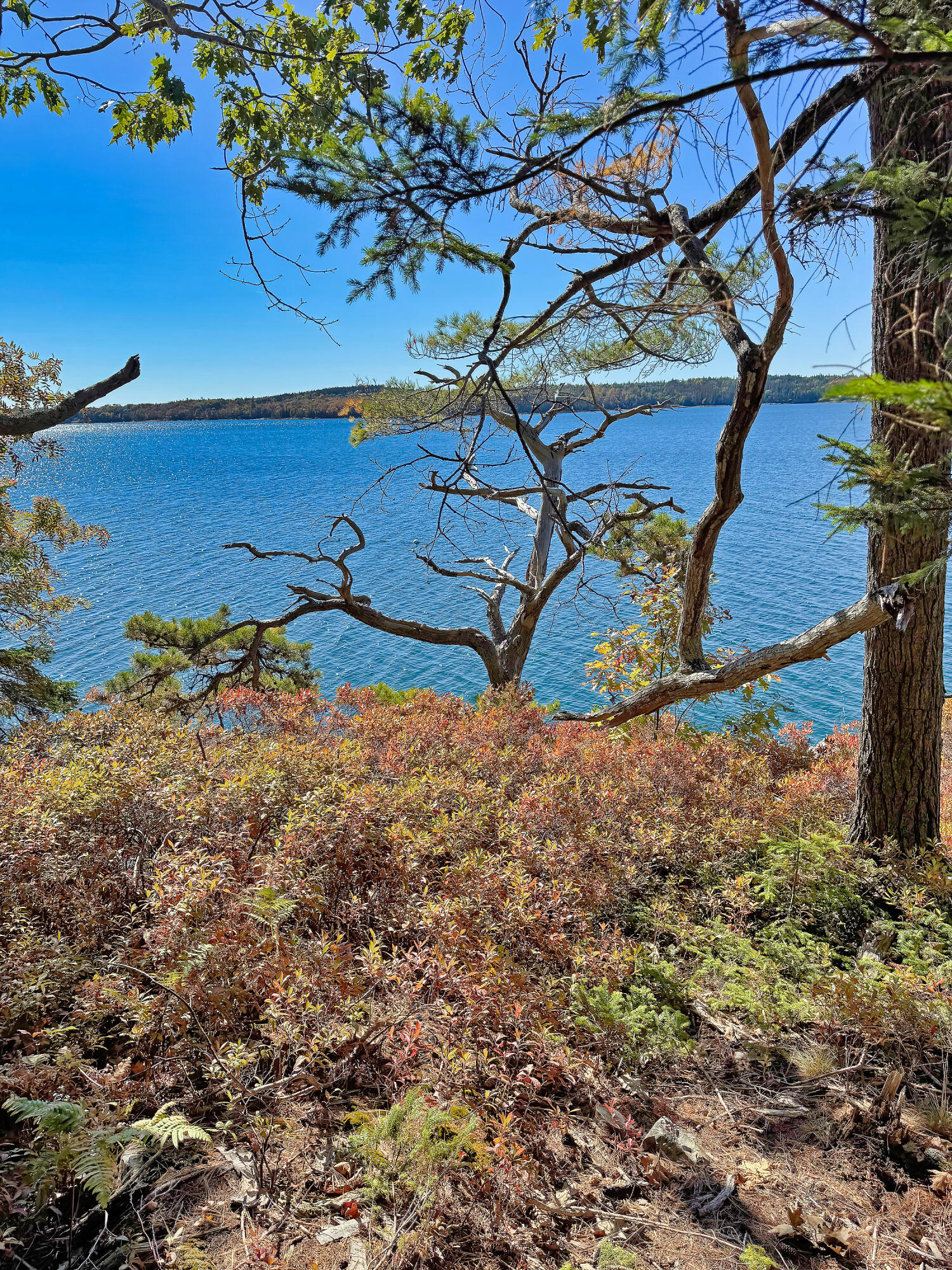 Lot 6 Sunset Road Brooksville, ME 04617 - Photo 24 of 35