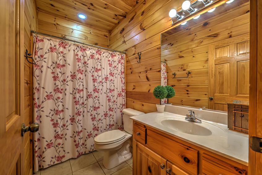 1925 Shady Falls Road Blue Ridge, GA 30513 - Photo 48 of 54