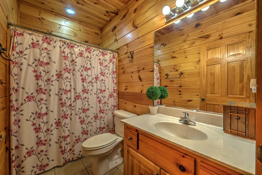 1925 Shady Falls Road Blue Ridge, GA 30513 - Photo 49 of 54