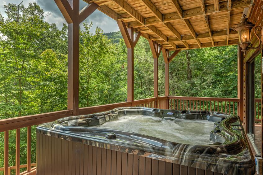 1925 Shady Falls Road Blue Ridge, GA 30513 - Photo 54 of 54