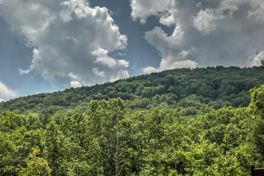 1925 Shady Falls Road Blue Ridge, GA 30513 - Photo 7 of 54