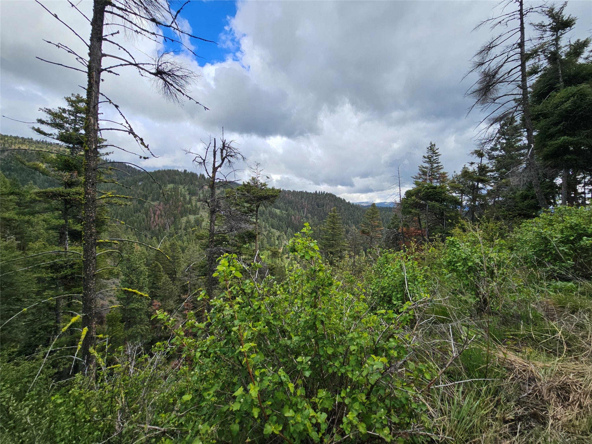 18866 Copper Rdg Trail Florence, MT 59833 - Photo 69 of 139 Gallery Image 69