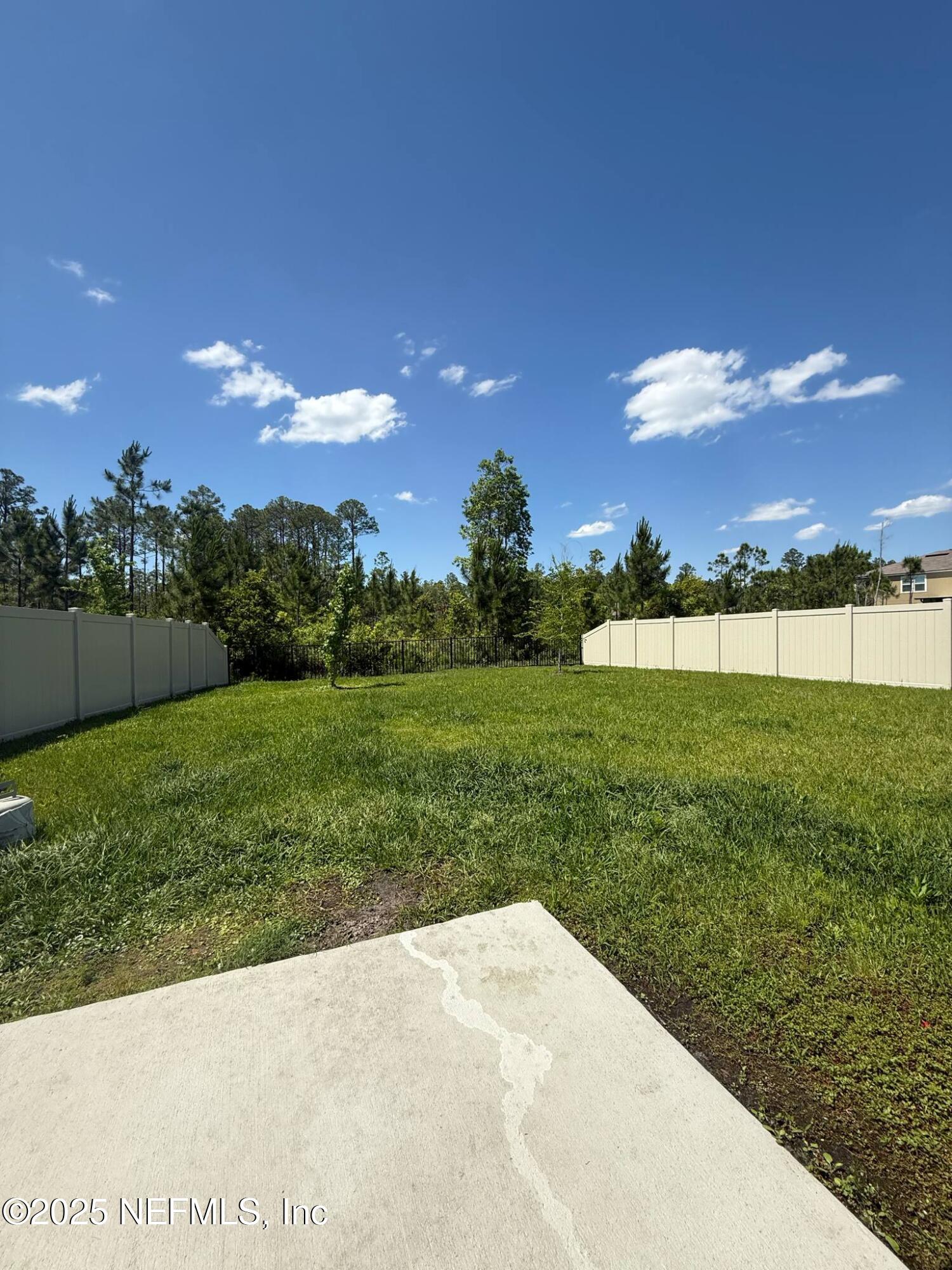 65183 Forest Glen Lane Yulee, FL 32097 - Photo 14 of 44 Backyard